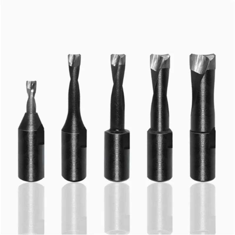 Woodworking Domino - Domino DF500 gleuffrees pen hole cutter