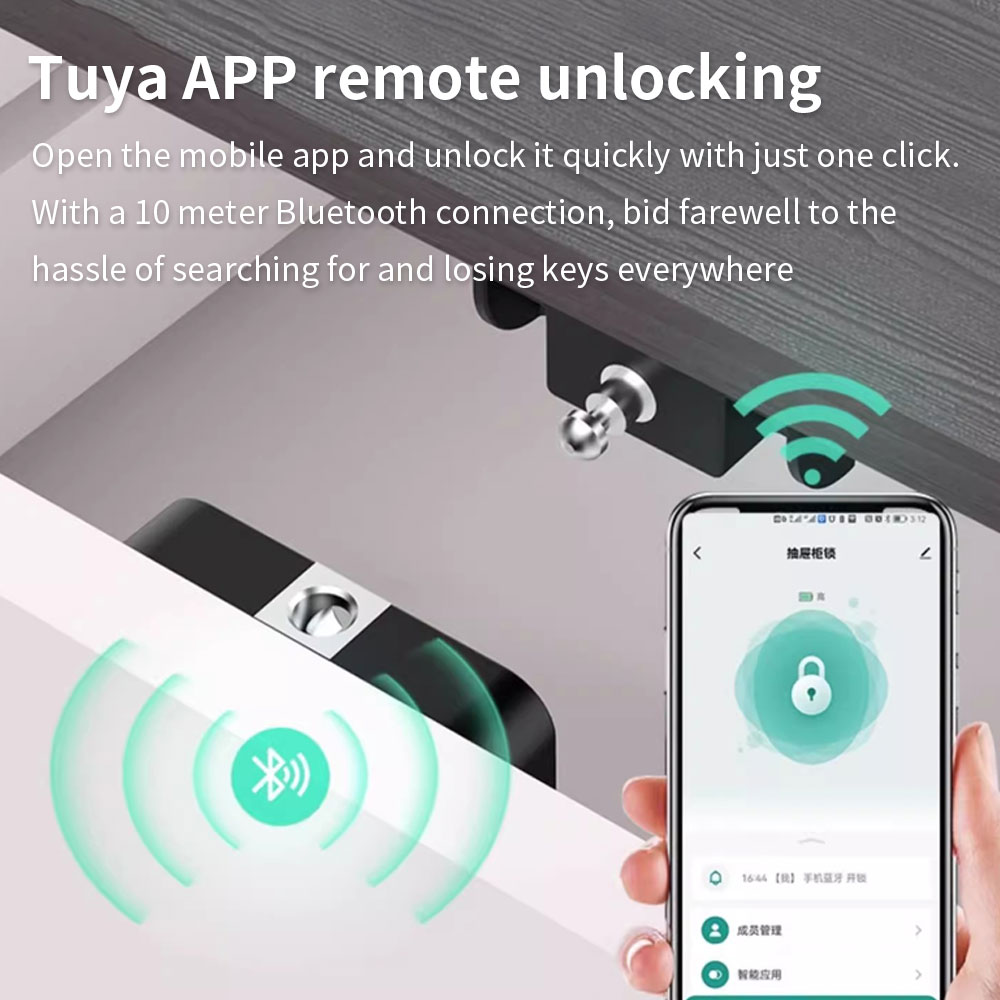 Tuya Verborgen kastslot RFID-l - Woodworking Box recensie en prijs